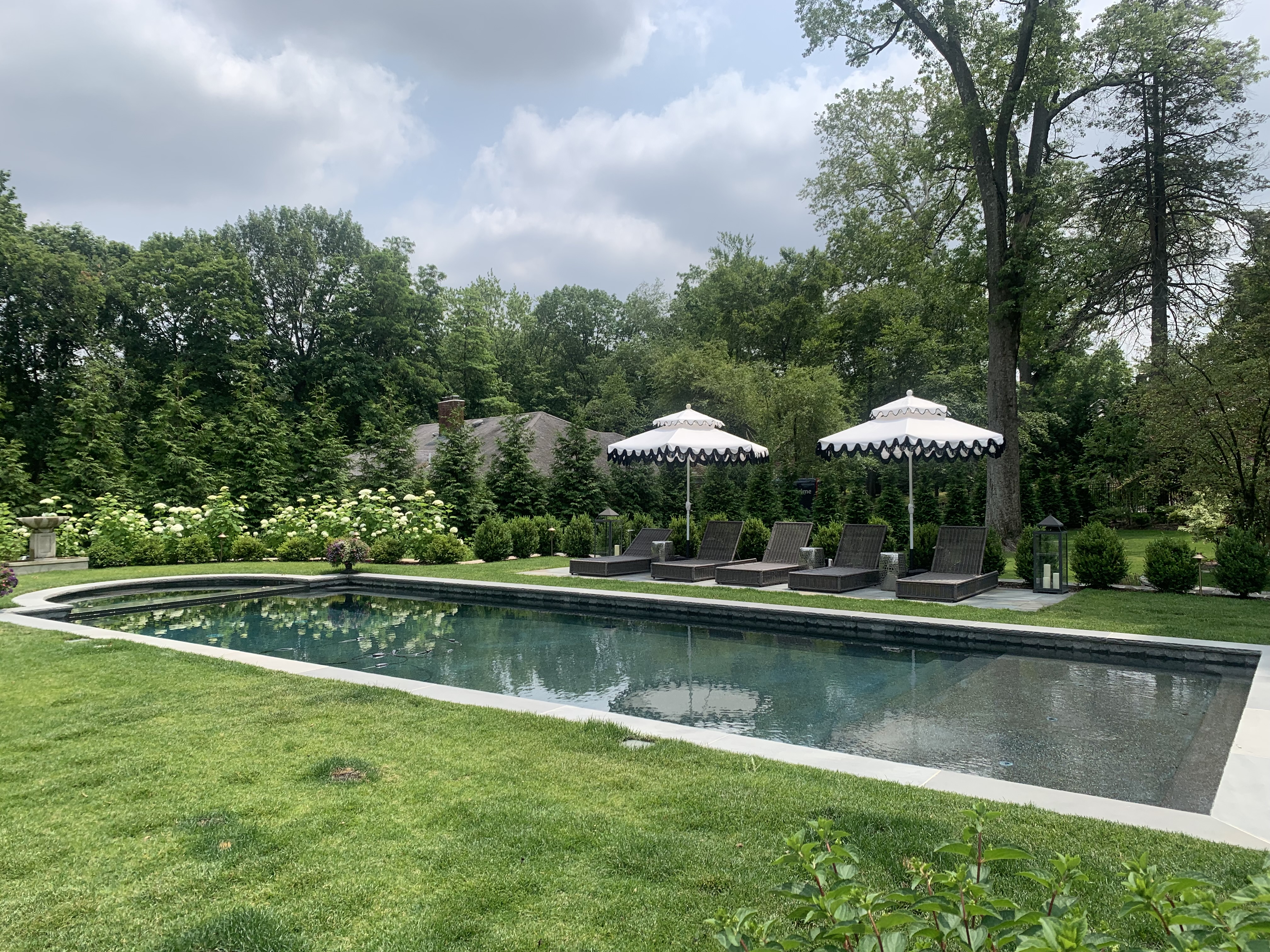 Dark rectangle pool with lush landscaping
