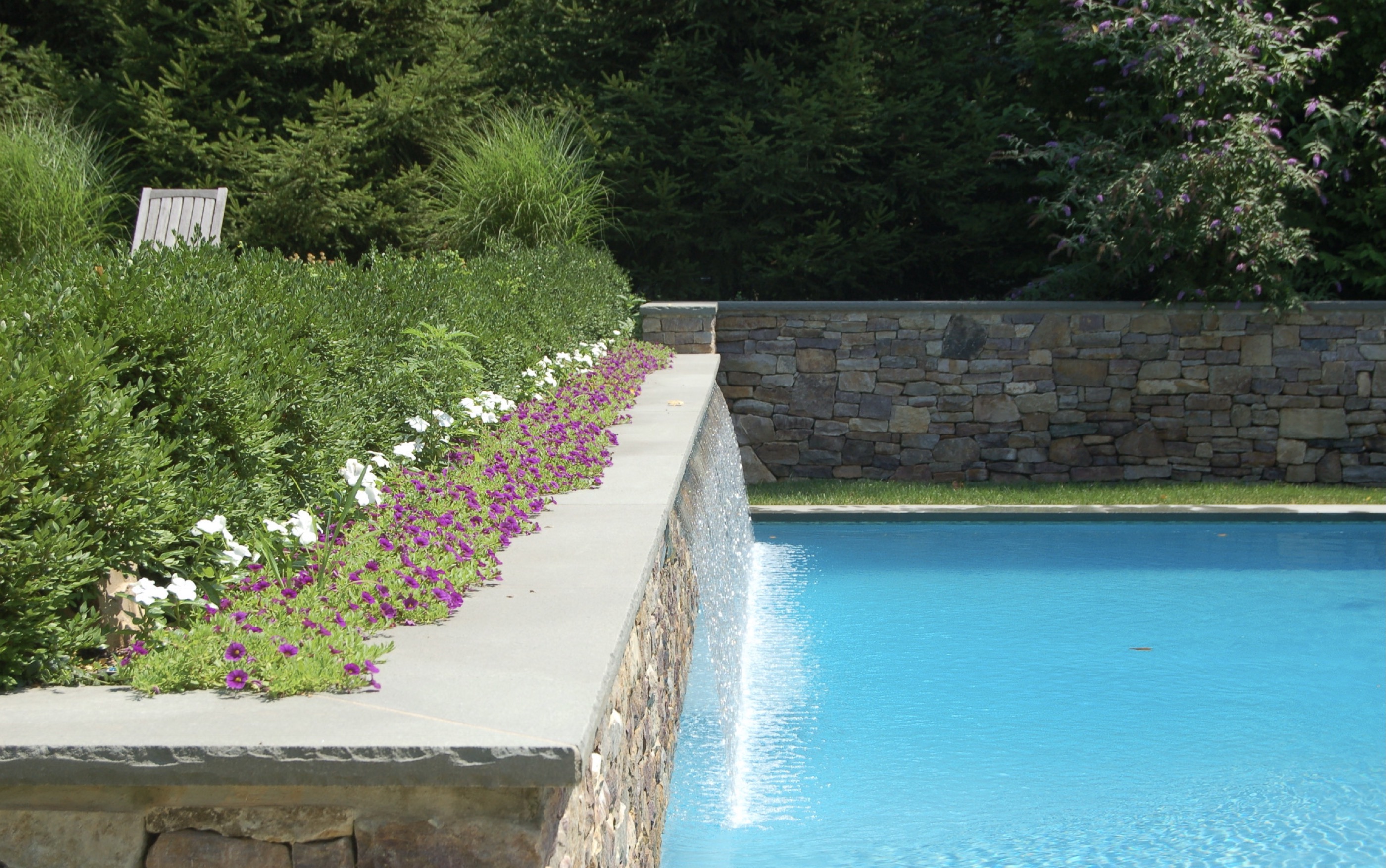 Pool coping detail with petunias along stone wall
