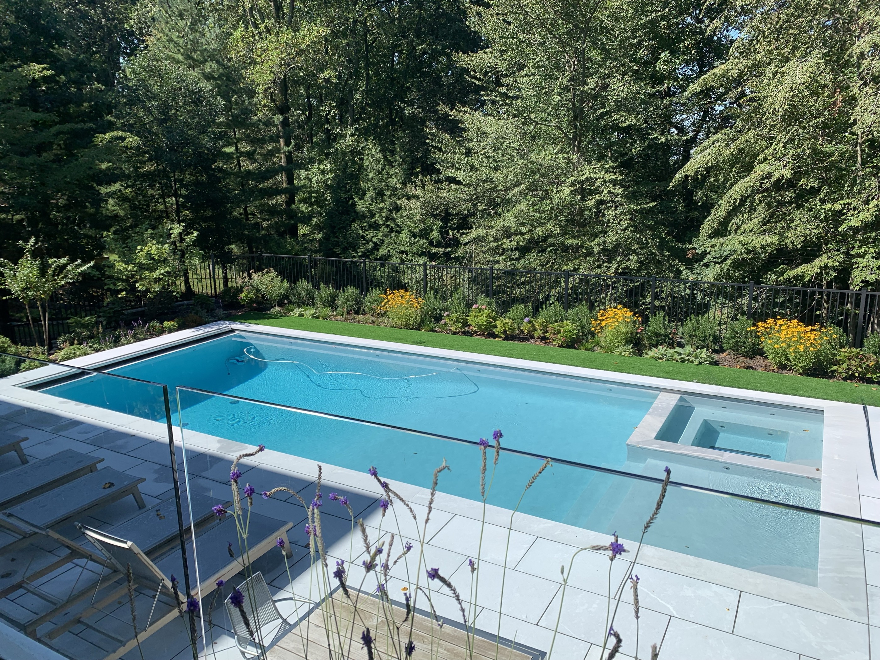 Modern minimalist pool with attached spa and meadow planting