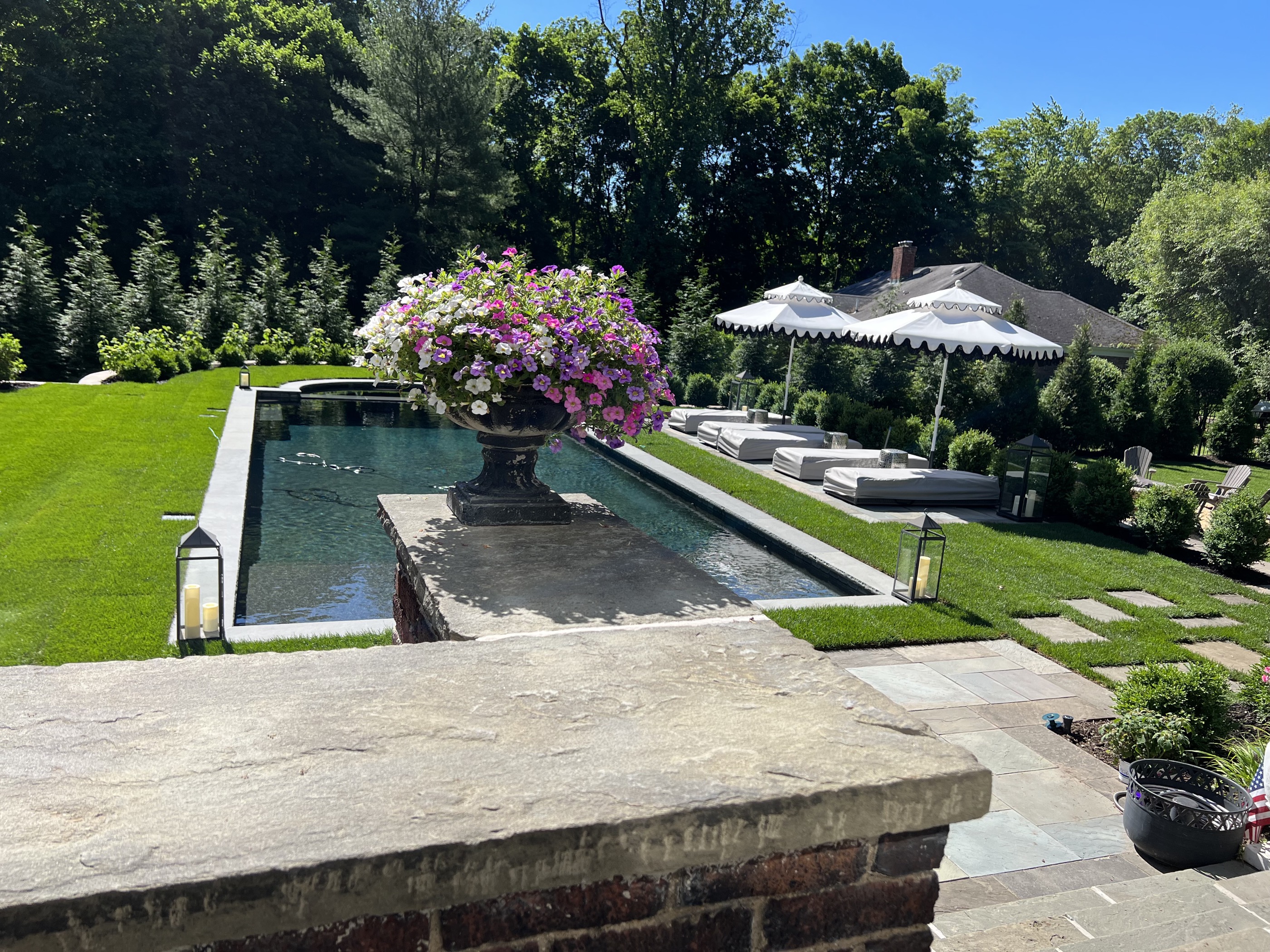Geometric pool with ornate vase planter at edge